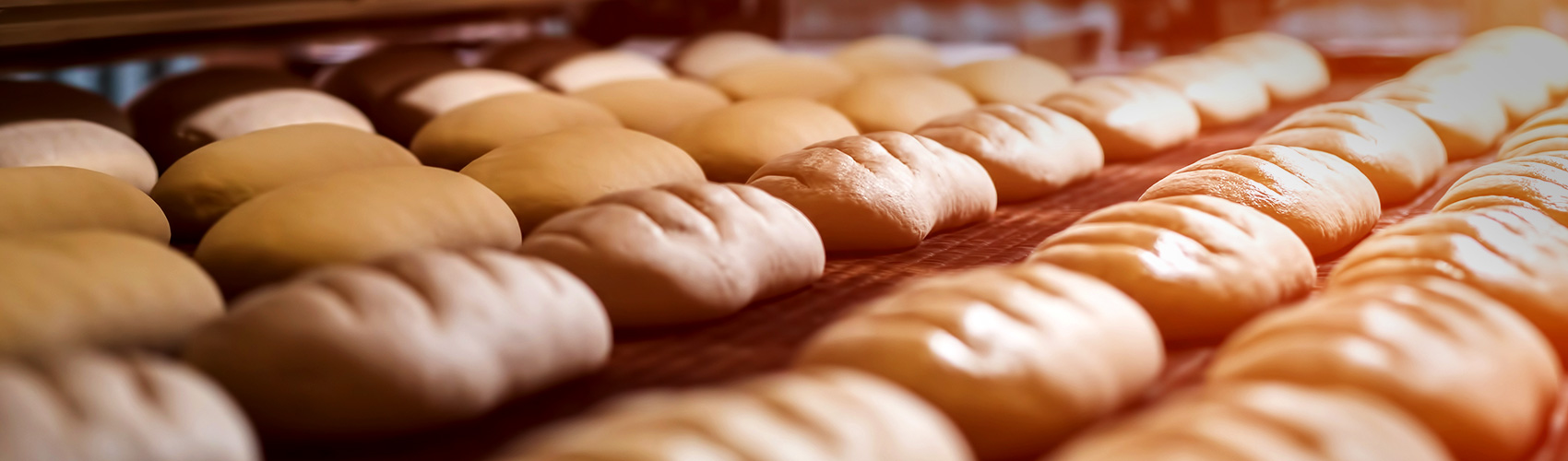 Suppliers of Top Branded Fully Refurbished Baking Equipment | Euromix (UK) LTD