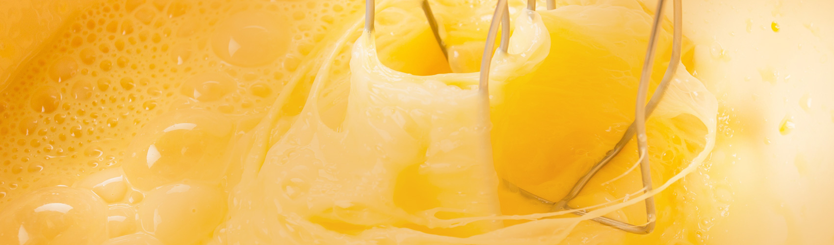 Suppliers of Top Branded Fully Refurbished Baking Equipment | Euromix (UK) LTD